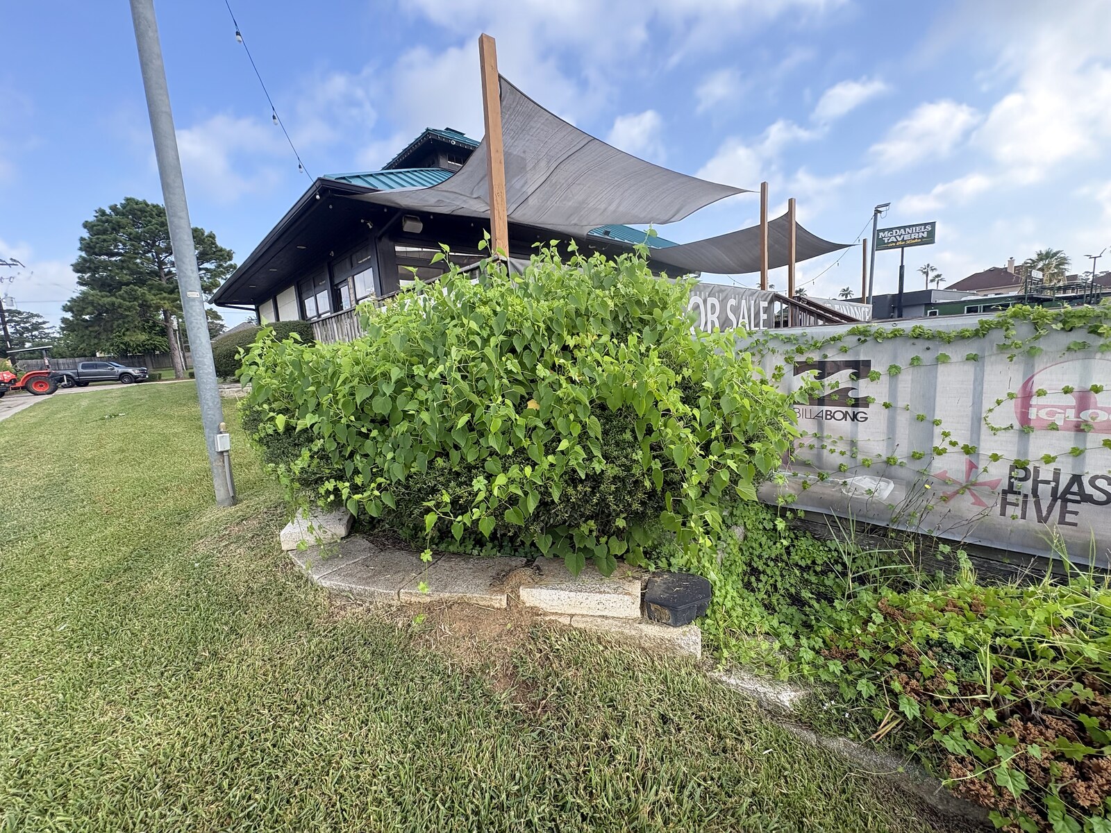 HTX Sales Office before landscaping - overgrown planter bed