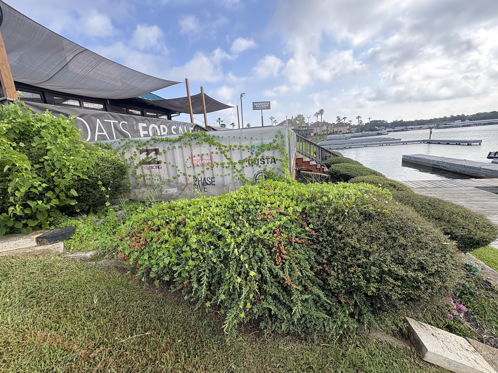 HTX Sales Office before landscaping - overgrown hedge